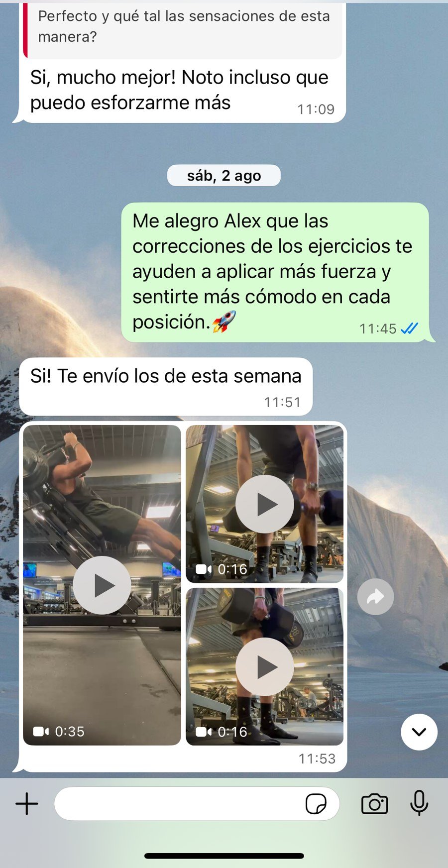 Conversación real de WhatsApp con un cliente